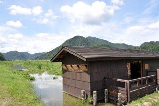 豊岡市立ハチゴロウの戸島湿地の写真