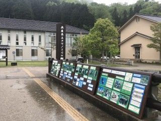 コウノトリの郷公園