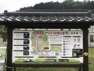 コウノトリの郷公園