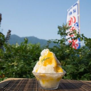 月待の滝 もみじ苑の写真