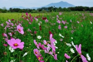 小貝川ふれあい公園