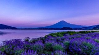 大石公園の写真