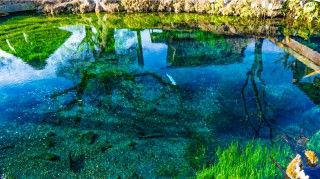 忍野八海の写真