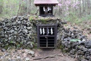 吉田胎内樹型の写真