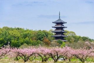 備中国分寺の写真