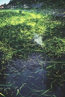 北房ほたる公園の写真