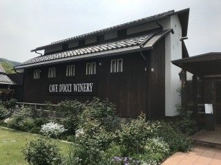 カーブドッチワイナリー