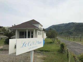 カーブドッチワイナリー