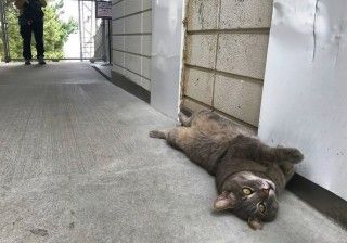 千光寺山ロープウェイ