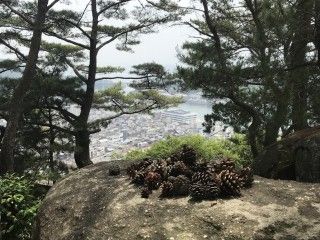尾道 大宝山 千光寺