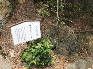 尾道 大宝山 千光寺