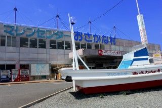 マリンセンターおさかな村の写真