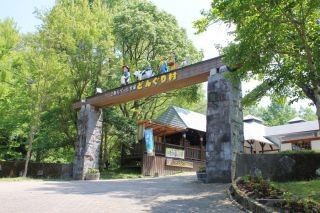 三瀬ルベール牧場どんぐり村の写真