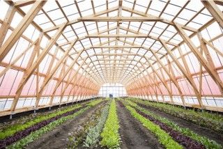 陸前高田ワタミオーガニックランドの写真