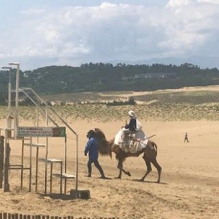 鳥取砂丘
