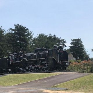 鳥取砂丘こどもの国