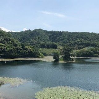 多鯰ケ池の写真