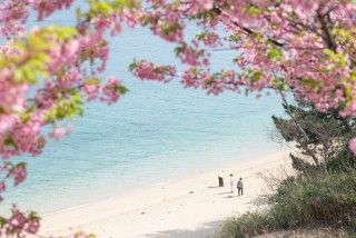 船隠し公園の写真