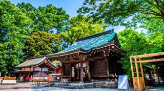 川越氷川神社の写真