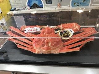 鳥取港海鮮市場かろいち