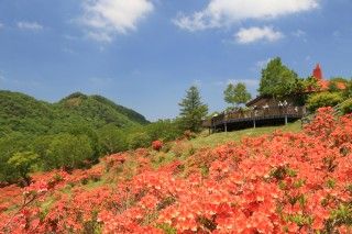 赤城白樺牧場の写真