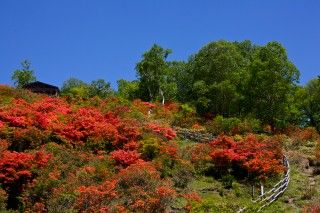 見晴山展望台の写真