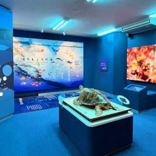 八丈島の海・山・暮らし館の写真