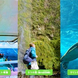 八丈島の海・山・暮らし館