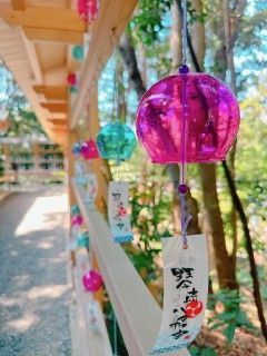 琴崎八幡宮の写真