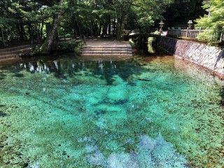 別府弁天池の写真