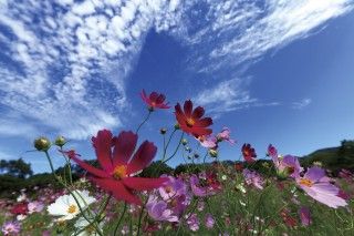 リフレッシュパーク豊浦の写真