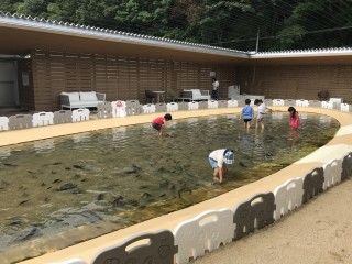 ひらめきパーク笠戸島（下松市栽培漁業センター）の写真