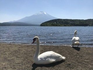 平野の浜（平野湖畔）の写真