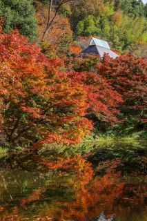 古今伝授の里フィールドミュージアム