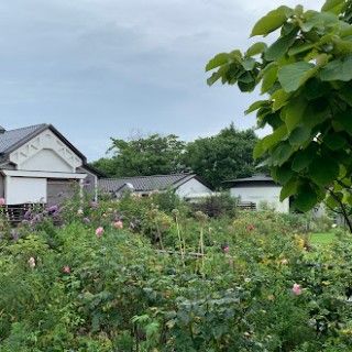 カーブドッチワイナリー