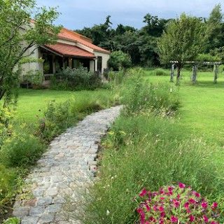 カーブドッチワイナリー