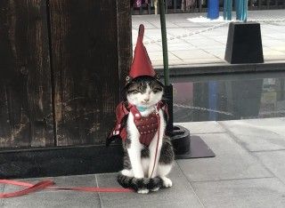 桜の馬場 城彩苑