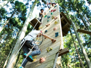 フォレストアドベンチャー・丹波ささやま