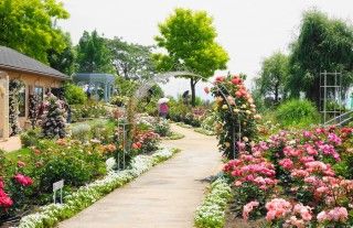 びわ湖大津館イングリッシュガーデンの写真