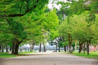 膳所城跡公園の写真