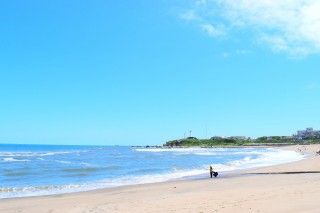君ヶ浜しおさい公園の写真