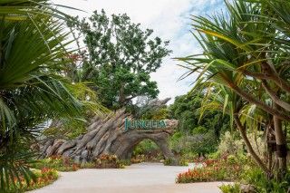 ジャングリア沖縄の写真