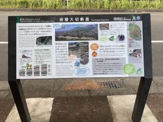 地層切断面（バウムクーヘン）