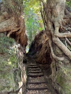 泉津の切り通し