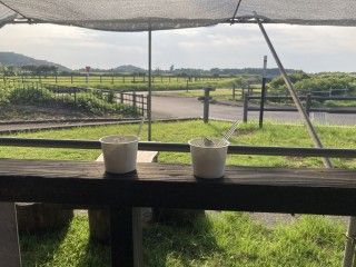 伊豆大島 農産物直売所「ぶらっとハウス」