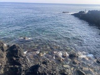 秋の浜遊泳場