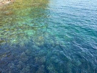 秋の浜遊泳場の写真