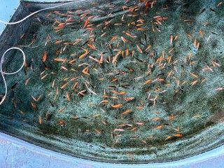 南郷水産センターの写真