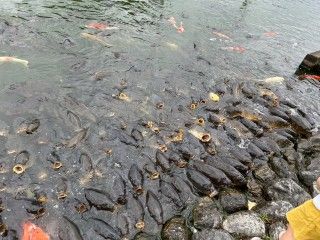 南郷水産センター