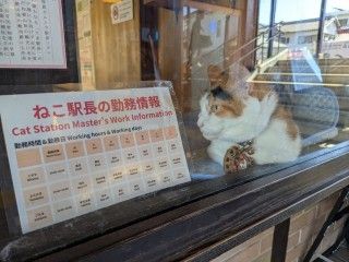 「P.N.じーかー」さんからの投稿写真@貴志駅